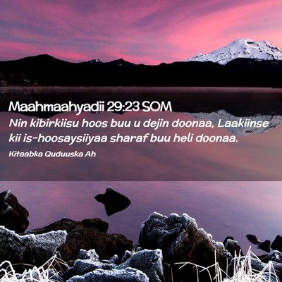 Picture 02 - Maahmaahyadii 29:23 SOM - Nin kibirkiisu hoos buu u dejin doonaa, Laakiinse - Bible Verse Picture