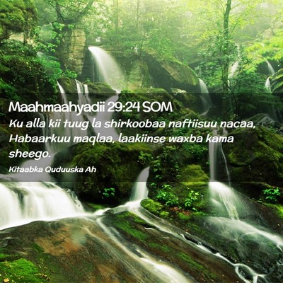 Picture 02 - Maahmaahyadii 29:24 SOM - Ku alla kii tuug la shirkoobaa naftiisuu nacaa, - Bible Verse Picture