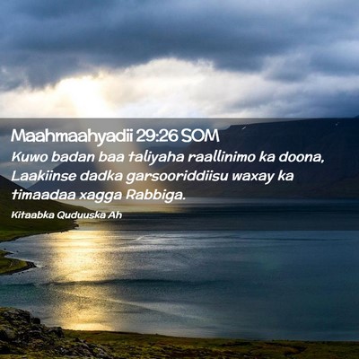 Picture 02 - Maahmaahyadii 29:26 SOM - Kuwo badan baa taliyaha raallinimo ka doona, - Bible Verse Picture