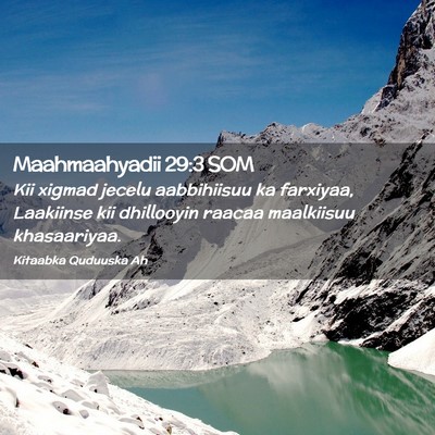 Picture 02 - Maahmaahyadii 29:3 SOM - Kii xigmad jecelu aabbihiisuu ka farxiyaa, - Bible Verse Picture