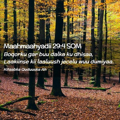 Picture 02 - Maahmaahyadii 29:4 SOM - Boqorku gar buu dalka ku dhisaa, Laakiinse kii - Bible Verse Picture