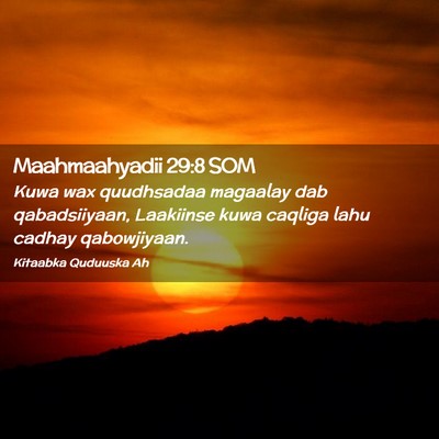 Picture 02 - Maahmaahyadii 29:8 SOM - Kuwa wax quudhsadaa magaalay dab qabadsiiyaan, - Bible Verse Picture