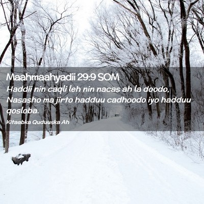 Picture 02 - Maahmaahyadii 29:9 SOM - Haddii nin caqli leh nin nacas ah la doodo, - Bible Verse Picture