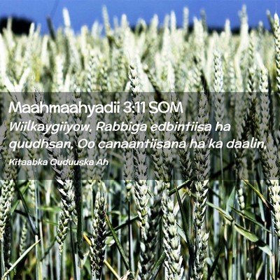 Picture 02 - Maahmaahyadii 3:11 SOM - Wiilkaygiiyow, Rabbiga edbintiisa ha quudhsan, Oo - Bible Verse Picture