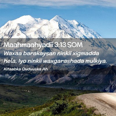 Picture 02 - Maahmaahyadii 3:13 SOM - Waxaa barakaysan ninkii xigmadda hela, Iyo ninkii - Bible Verse Picture