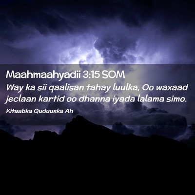 Picture 02 - Maahmaahyadii 3:15 SOM - Way ka sii qaalisan tahay luulka, Oo waxaad - Bible Verse Picture