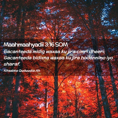 Picture 02 - Maahmaahyadii 3:16 SOM - Gacanteeda midig waxaa ku jira cimri dheeri; - Bible Verse Picture
