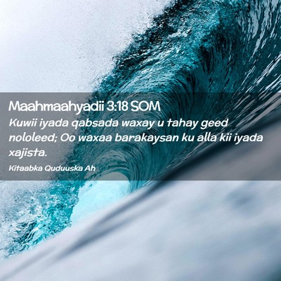 Picture 02 - Maahmaahyadii 3:18 SOM - Kuwii iyada qabsada waxay u tahay geed nololeed; - Bible Verse Picture
