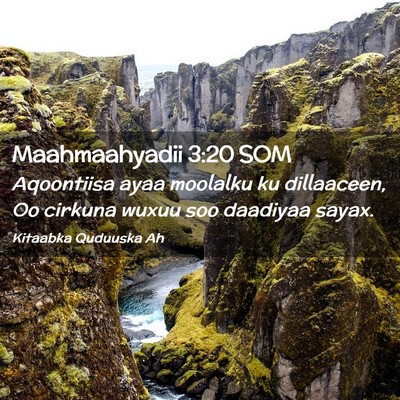 Picture 02 - Maahmaahyadii 3:20 SOM - Aqoontiisa ayaa moolalku ku dillaaceen, Oo - Bible Verse Picture
