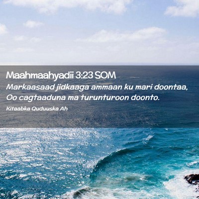 Picture 02 - Maahmaahyadii 3:23 SOM - Markaasaad jidkaaga ammaan ku mari doontaa, Oo - Bible Verse Picture