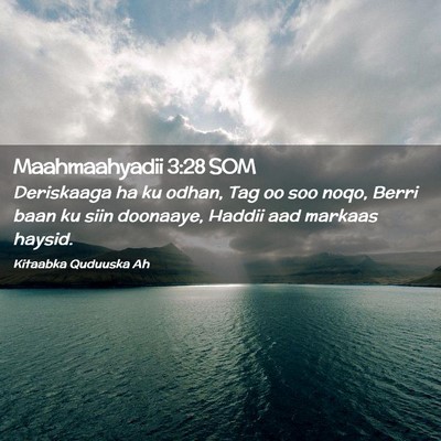 Picture 02 - Maahmaahyadii 3:28 SOM - Deriskaaga ha ku odhan, Tag oo soo noqo, Berri - Bible Verse Picture