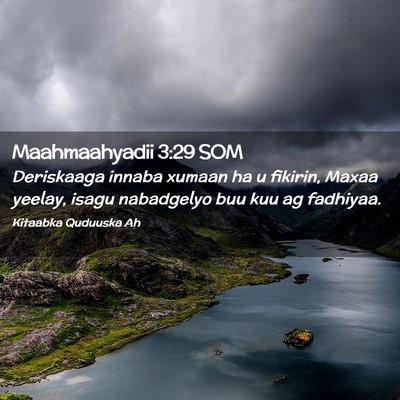 Picture 02 - Maahmaahyadii 3:29 SOM - Deriskaaga innaba xumaan ha u fikirin, Maxaa - Bible Verse Picture