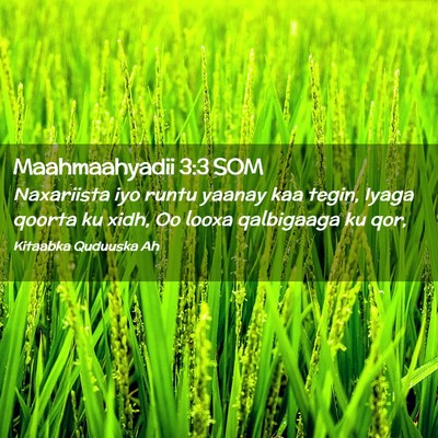 Picture 02 - Maahmaahyadii 3:3 SOM - Naxariista iyo runtu yaanay kaa tegin, Iyaga - Bible Verse Picture