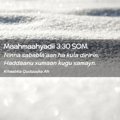 Picture 02 - Maahmaahyadii 3:30 SOM - Ninna sababla'aan ha kula diririn, Haddaanu - Bible Verse Picture