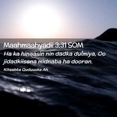 Picture 02 - Maahmaahyadii 3:31 SOM - Ha ka hinaasin nin dadka dulmiya, Oo jidadkiisana - Bible Verse Picture