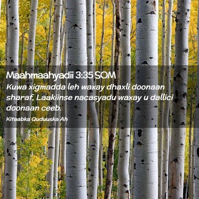 Picture 02 - Maahmaahyadii 3:35 SOM - Kuwa xigmadda leh waxay dhaxli doonaan sharaf, - Bible Verse Picture