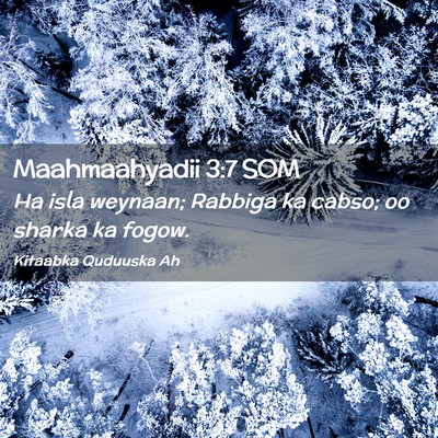 Picture 02 - Maahmaahyadii 3:7 SOM - Ha isla weynaan; Rabbiga ka cabso; oo sharka ka - Bible Verse Picture