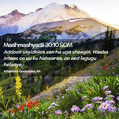Picture 02 - Maahmaahyadii 30:10 SOM - Addoon sayidkiisa xan ha uga sheegin, Waaba - Bible Verse Picture