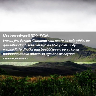 Picture 02 - Maahmaahyadii 30:14 SOM - Waxaa jira farcan ilkahoodu sida seefo oo kale - Bible Verse Picture