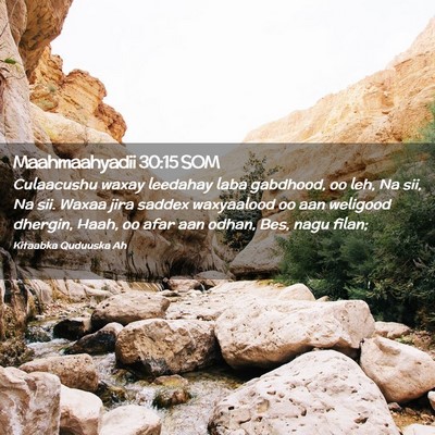Picture 02 - Maahmaahyadii 30:15 SOM - Culaacushu waxay leedahay laba gabdhood, oo leh, - Bible Verse Picture