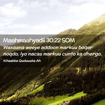 Picture 02 - Maahmaahyadii 30:22 SOM - Waxaana weeye addoon markuu boqor noqdo, Iyo - Bible Verse Picture