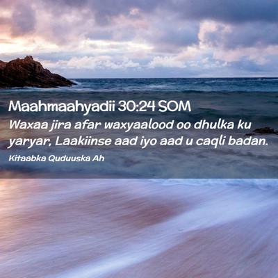 Picture 02 - Maahmaahyadii 30:24 SOM - Waxaa jira afar waxyaalood oo dhulka ku yaryar, - Bible Verse Picture