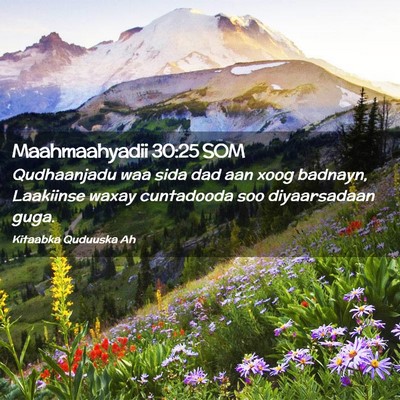 Picture 02 - Maahmaahyadii 30:25 SOM - Qudhaanjadu waa sida dad aan xoog badnayn, - Bible Verse Picture