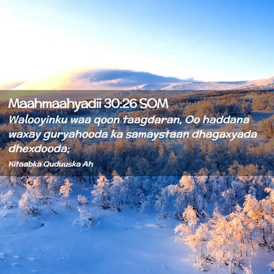 Picture 02 - Maahmaahyadii 30:26 SOM - Walooyinku waa qoon taagdaran, Oo haddana waxay - Bible Verse Picture