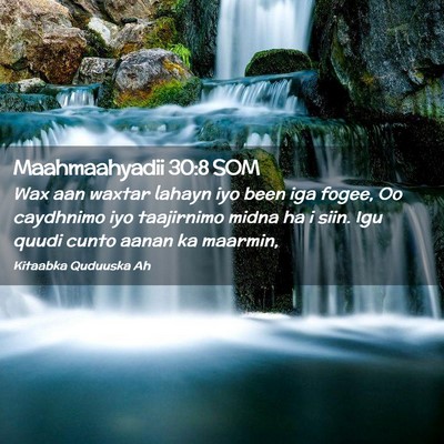 Picture 02 - Maahmaahyadii 30:8 SOM - Wax aan waxtar lahayn iyo been iga fogee, Oo - Bible Verse Picture