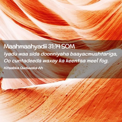 Picture 02 - Maahmaahyadii 31:14 SOM - Iyadu waa sida doonniyaha baayacmushtariga, Oo - Bible Verse Picture