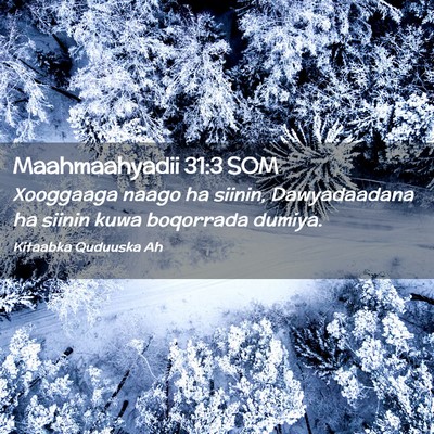 Picture 02 - Maahmaahyadii 31:3 SOM - Xooggaaga naago ha siinin, Dawyadaadana ha siinin - Bible Verse Picture