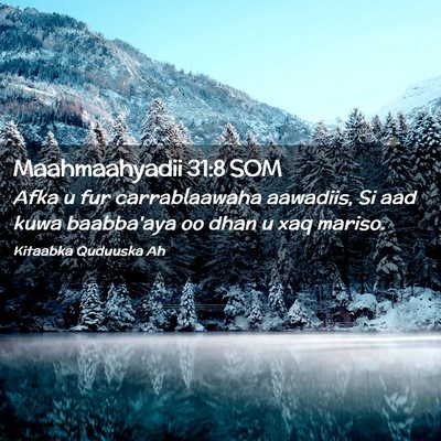 Picture 02 - Maahmaahyadii 31:8 SOM - Afka u fur carrablaawaha aawadiis, Si aad kuwa - Bible Verse Picture