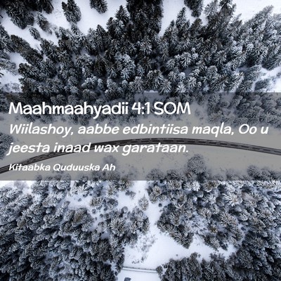 Picture 02 - Maahmaahyadii 4:1 SOM - Wiilashoy, aabbe edbintiisa maqla, Oo u jeesta - Bible Verse Picture