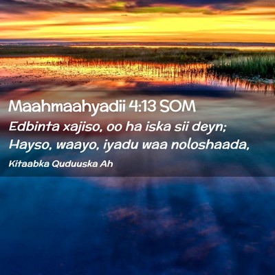 Picture 02 - Maahmaahyadii 4:13 SOM - Edbinta xajiso, oo ha iska sii deyn; Hayso, - Bible Verse Picture