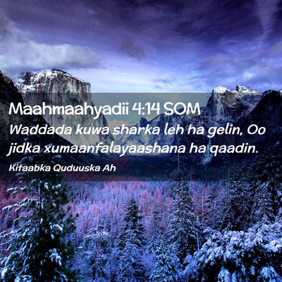 Picture 02 - Maahmaahyadii 4:14 SOM - Waddada kuwa sharka leh ha gelin, Oo jidka - Bible Verse Picture