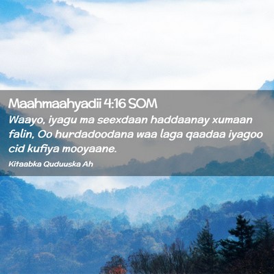 Picture 02 - Maahmaahyadii 4:16 SOM - Waayo, iyagu ma seexdaan haddaanay xumaan falin, - Bible Verse Picture
