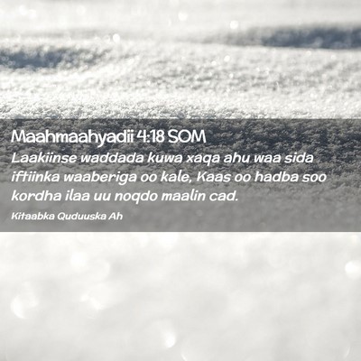 Picture 02 - Maahmaahyadii 4:18 SOM - Laakiinse waddada kuwa xaqa ahu waa sida iftiinka - Bible Verse Picture