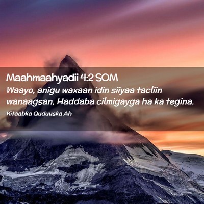 Picture 02 - Maahmaahyadii 4:2 SOM - Waayo, anigu waxaan idin siiyaa tacliin - Bible Verse Picture