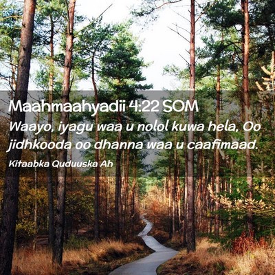 Picture 02 - Maahmaahyadii 4:22 SOM - Waayo, iyagu waa u nolol kuwa hela, Oo jidhkooda - Bible Verse Picture