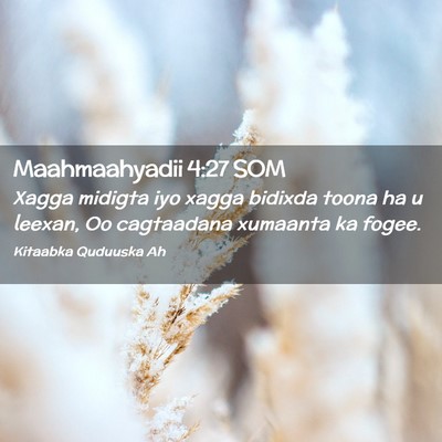 Picture 02 - Maahmaahyadii 4:27 SOM - Xagga midigta iyo xagga bidixda toona ha u - Bible Verse Picture
