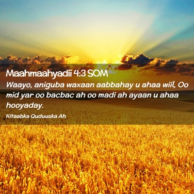 Picture 02 - Maahmaahyadii 4:3 SOM - Waayo, aniguba waxaan aabbahay u ahaa wiil, Oo - Bible Verse Picture