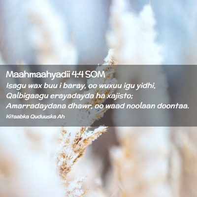 Picture 02 - Maahmaahyadii 4:4 SOM - Isagu wax buu i baray, oo wuxuu igu yidhi, - Bible Verse Picture