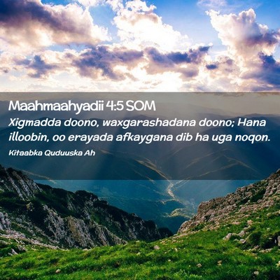 Picture 02 - Maahmaahyadii 4:5 SOM - Xigmadda doono, waxgarashadana doono; Hana - Bible Verse Picture