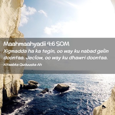 Picture 02 - Maahmaahyadii 4:6 SOM - Xigmadda ha ka tegin, oo way ku nabad gelin - Bible Verse Picture