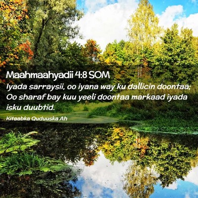 Picture 02 - Maahmaahyadii 4:8 SOM - Iyada sarraysii, oo iyana way ku dallicin - Bible Verse Picture