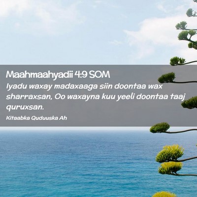 Picture 02 - Maahmaahyadii 4:9 SOM - Iyadu waxay madaxaaga siin doontaa wax - Bible Verse Picture