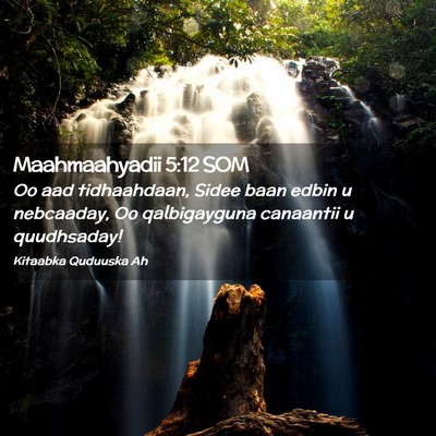 Picture 02 - Maahmaahyadii 5:12 SOM - Oo aad tidhaahdaan, Sidee baan edbin u nebcaaday, - Bible Verse Picture