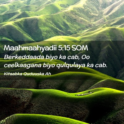 Picture 02 - Maahmaahyadii 5:15 SOM - Berkeddaada biyo ka cab, Oo ceelkaagana biyo - Bible Verse Picture