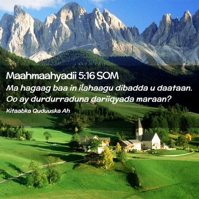 Picture 02 - Maahmaahyadii 5:16 SOM - Ma hagaag baa in ilahaagu dibadda u daataan. Oo - Bible Verse Picture