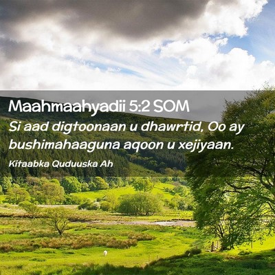 Picture 02 - Maahmaahyadii 5:2 SOM - Si aad digtoonaan u dhawrtid, Oo ay - Bible Verse Picture